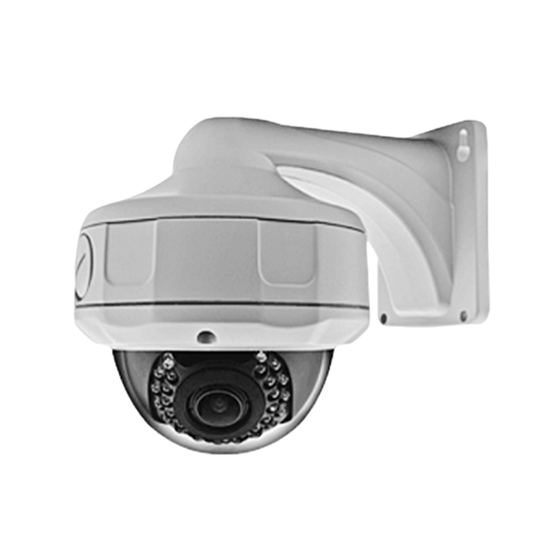 Metal Vandalproof /Waterproof HD IP IR Dome Camera (30 IR LED)