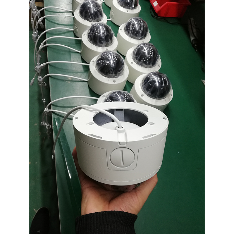 Metal Vandalproof /Waterproof HD IP IR Dome Camera (30 IR LED)